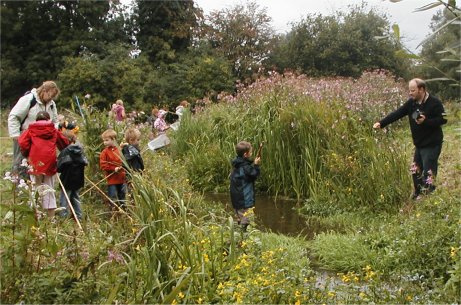 Children examine the results of pond dipping