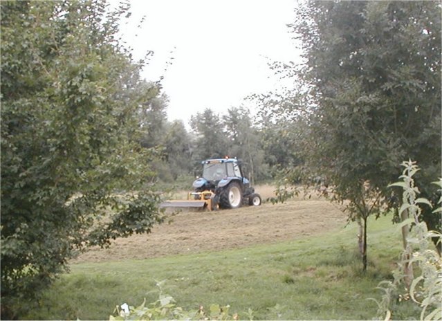 GRass cutting on the meadow